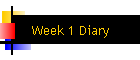 Week 1 Diary