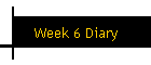 Week 6 Diary